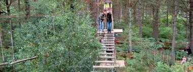 Go Ape Moors ValleyActivity - DRIVEU Minibus Hire