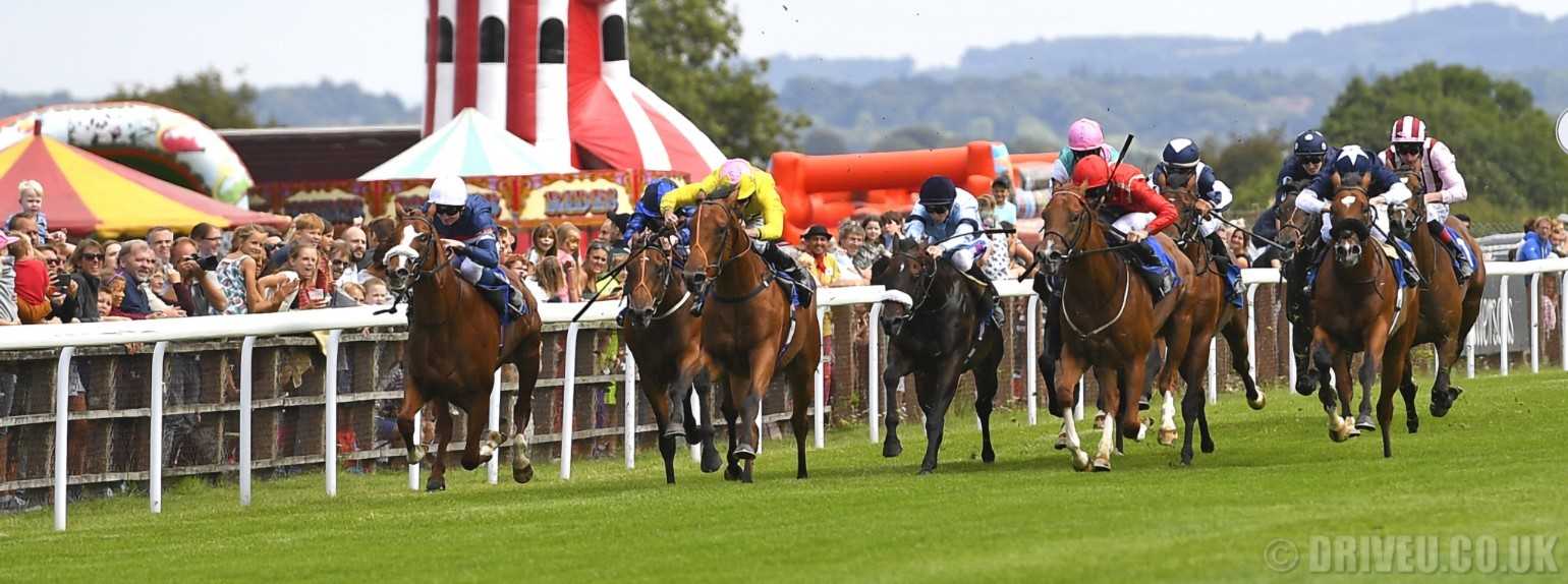 Salisbury Races Salisbury Races - DRIVEU Minibus Hire